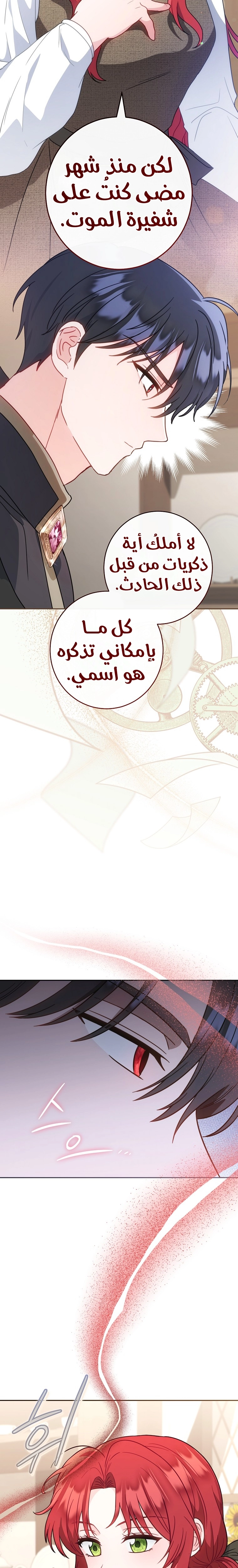 الصفحة 21