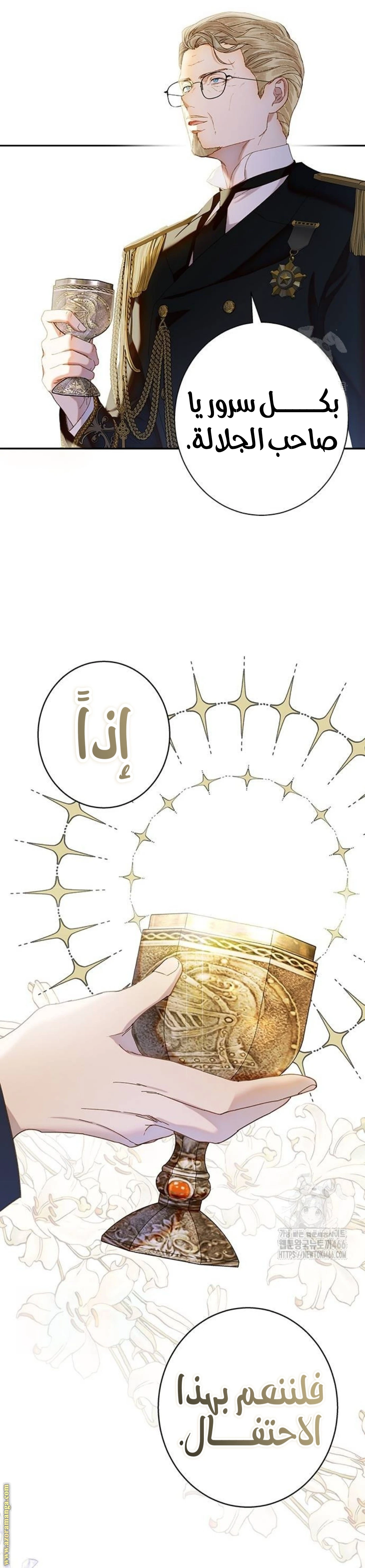 الصفحة 17