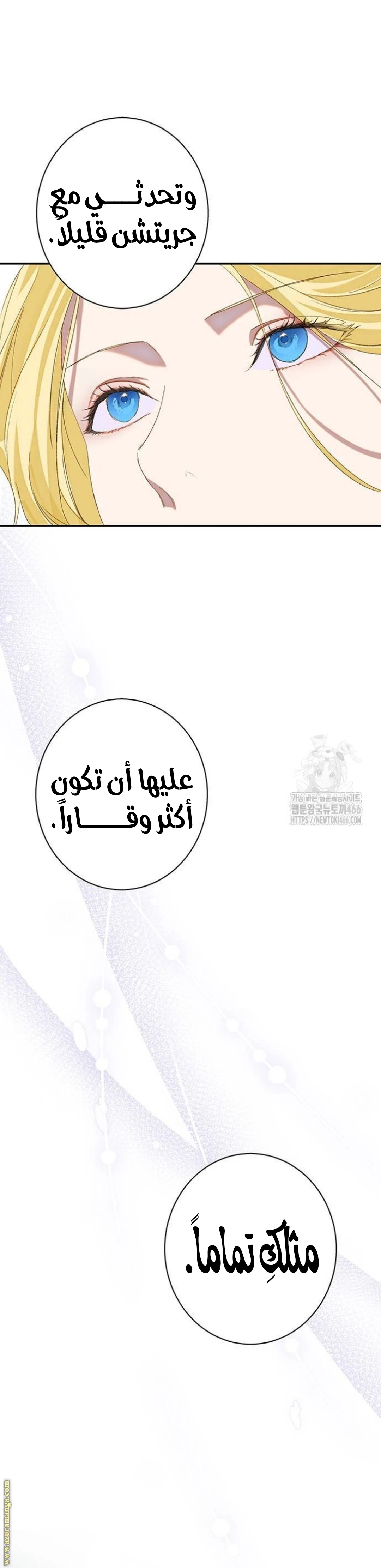 الصفحة 29
