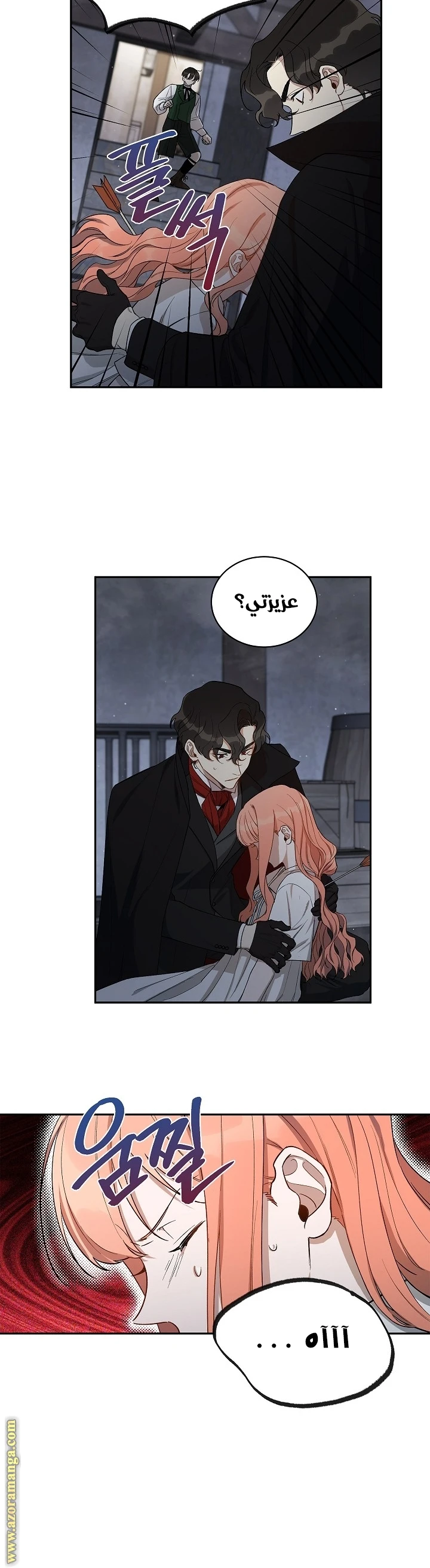 الصفحة 13