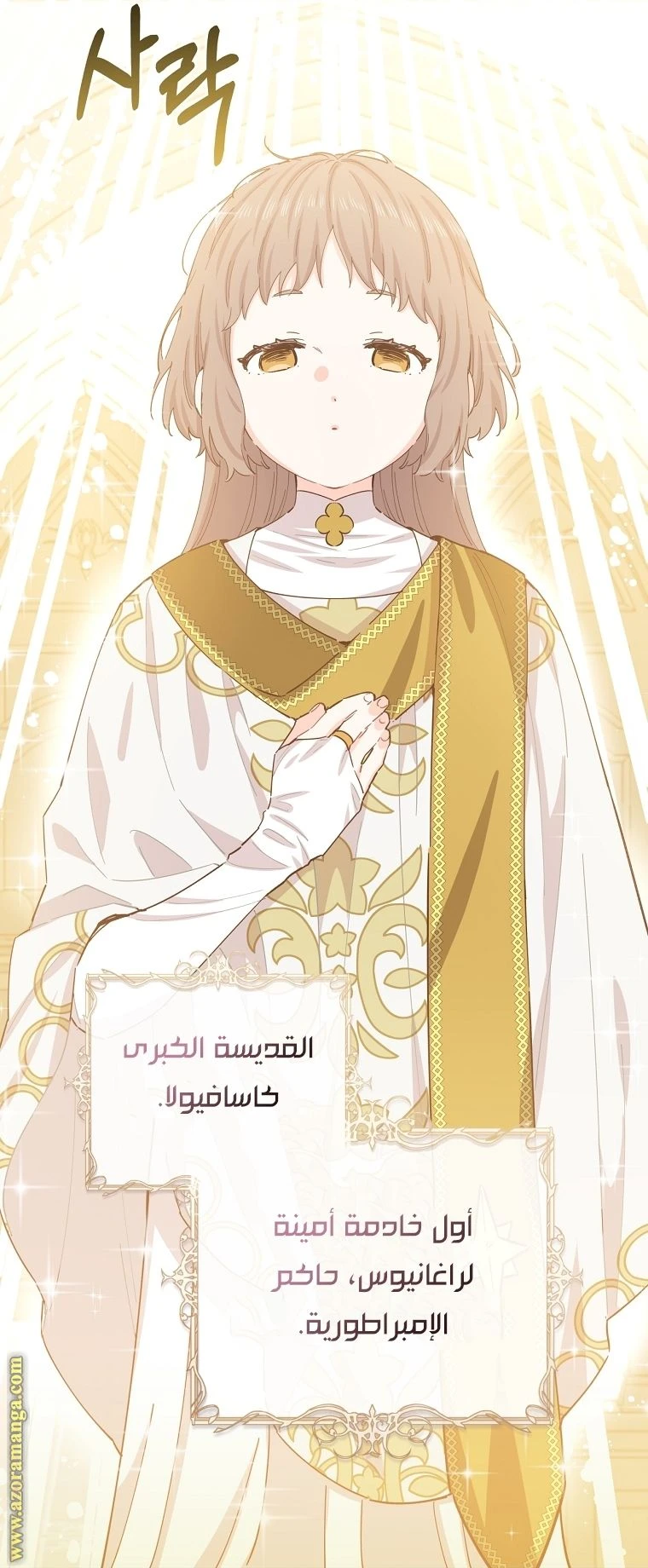 الصفحة 26