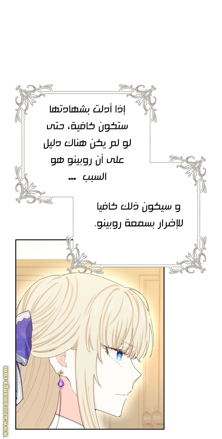 الصفحة 29