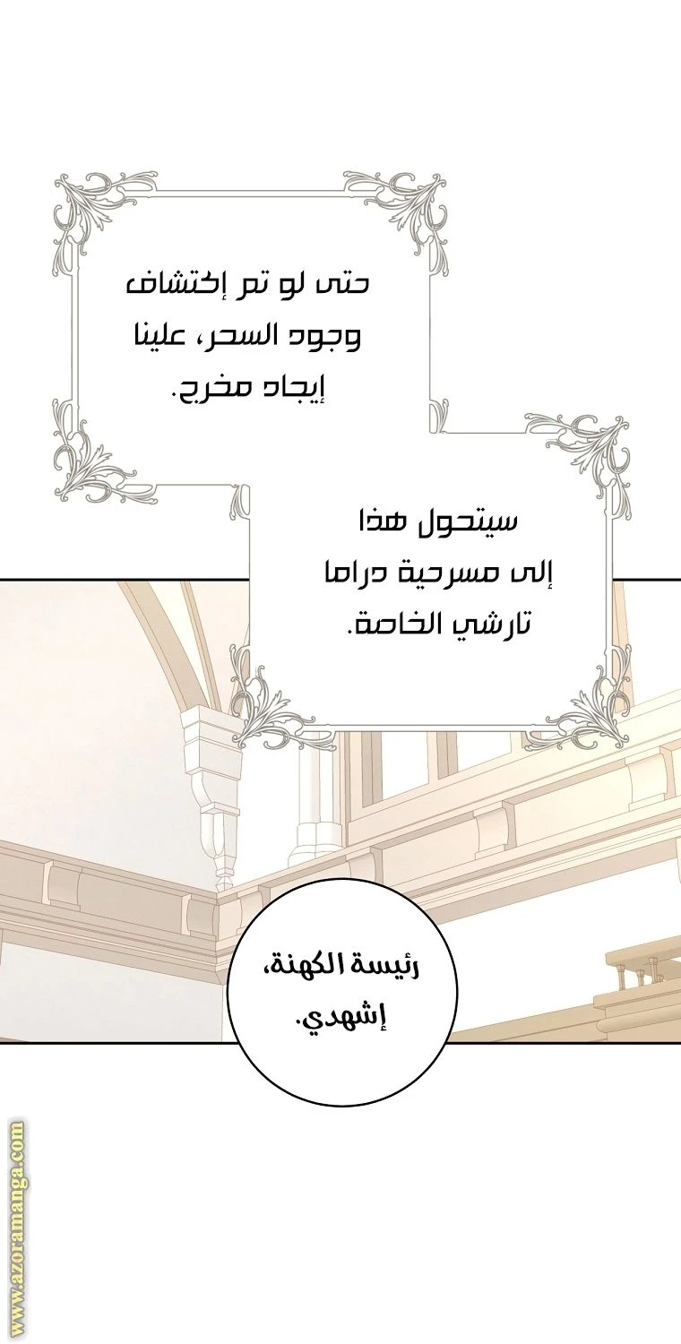الصفحة 31