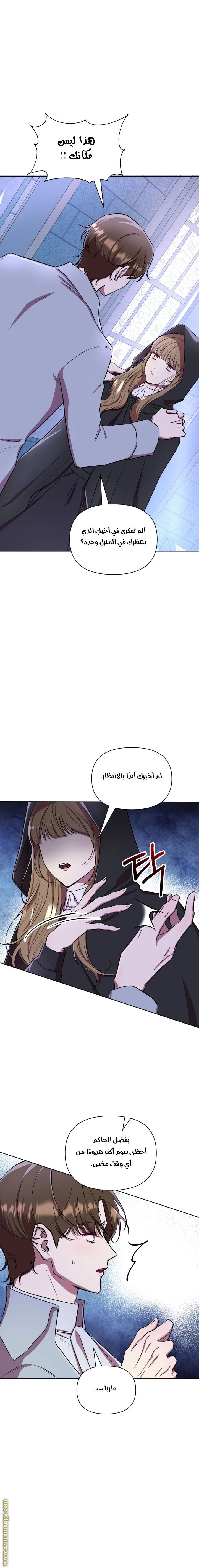الصفحة 20