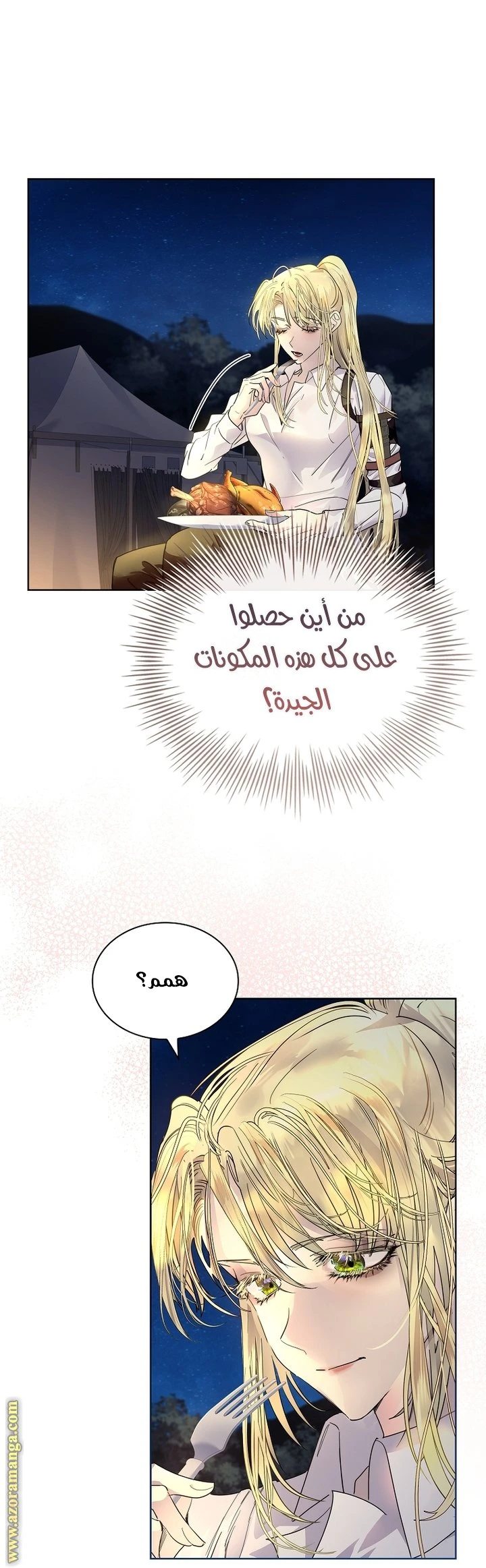 الصفحة 16