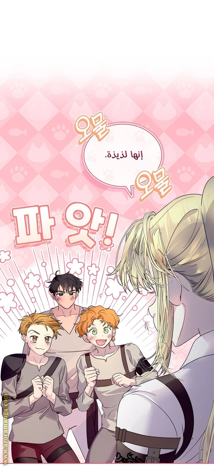 الصفحة 17