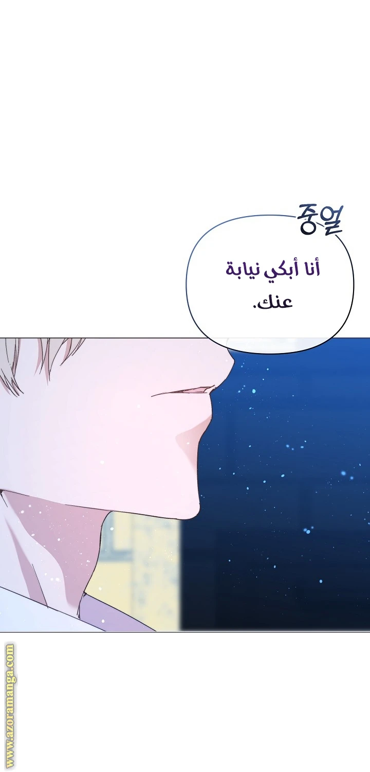 الصفحة 42