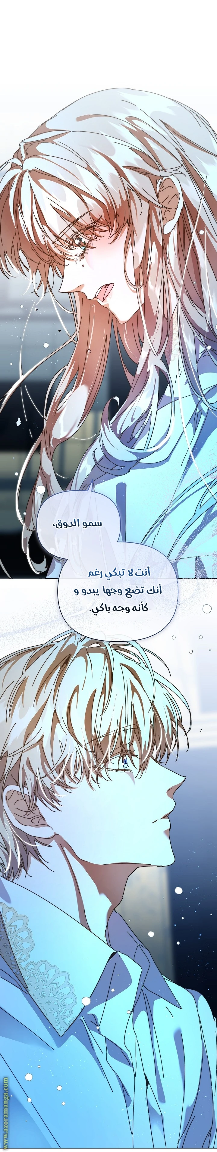 الصفحة 43