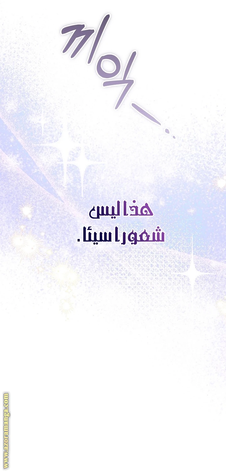 الصفحة 65