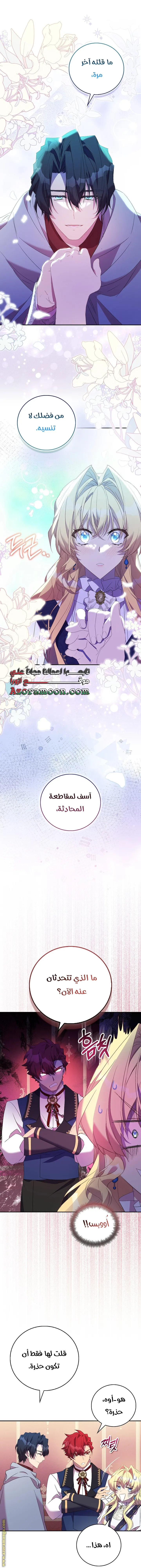 الصفحة 17