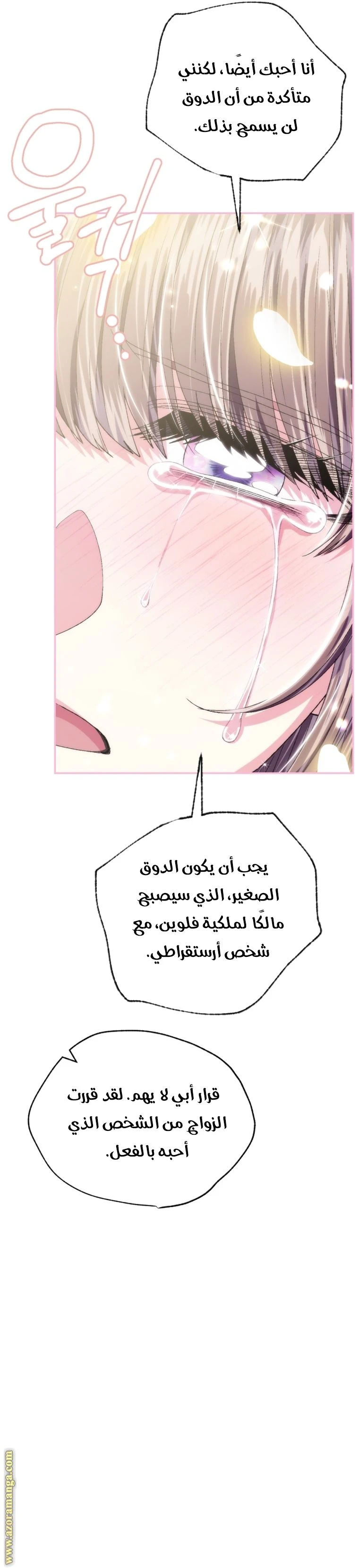 الصفحة 26