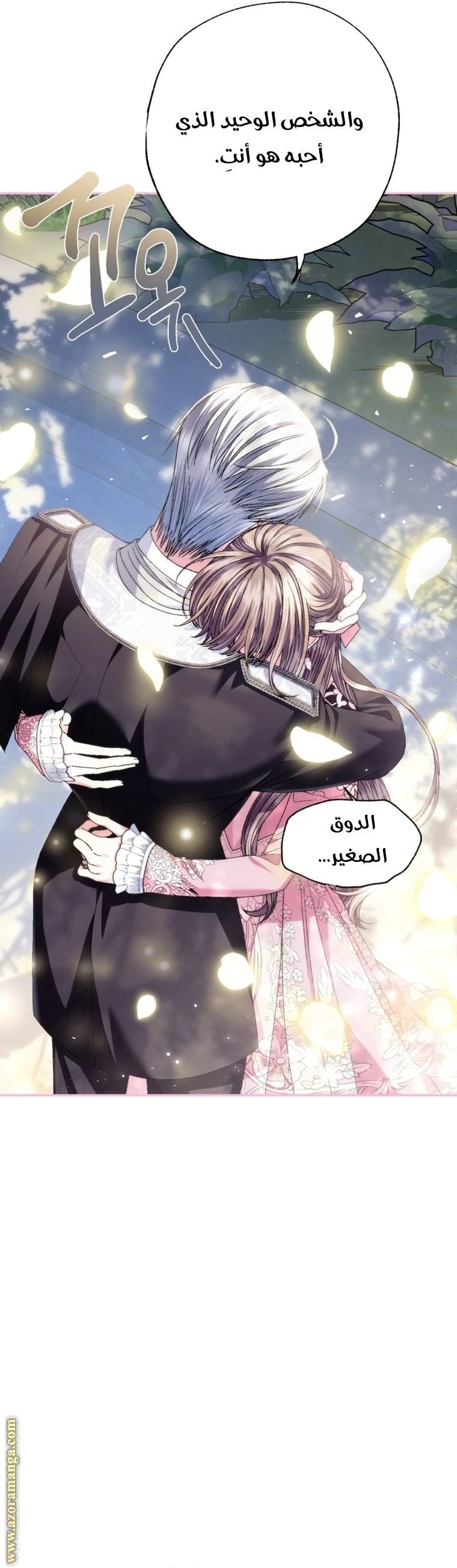 الصفحة 27