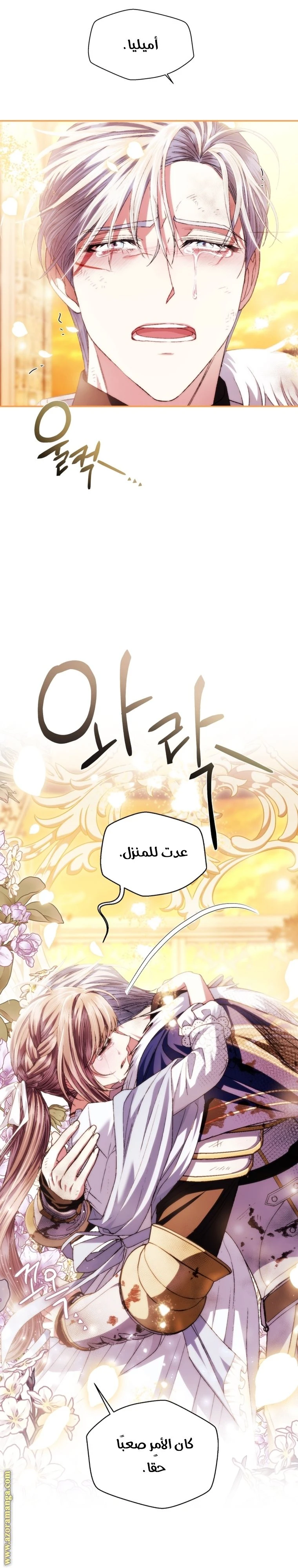 الصفحة 43