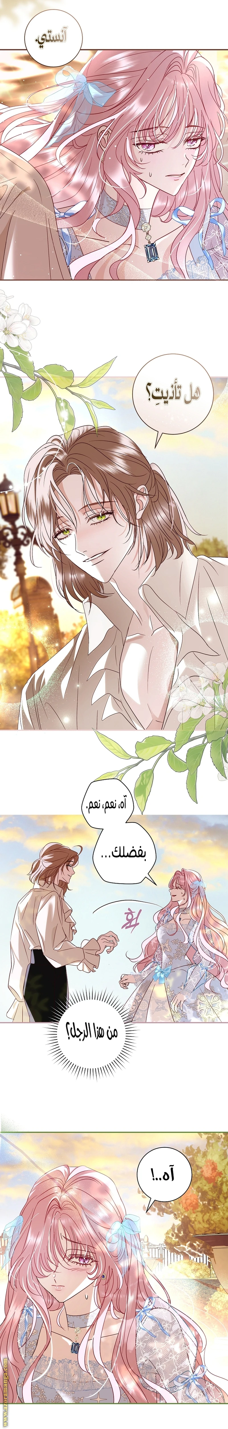 الصفحة 13