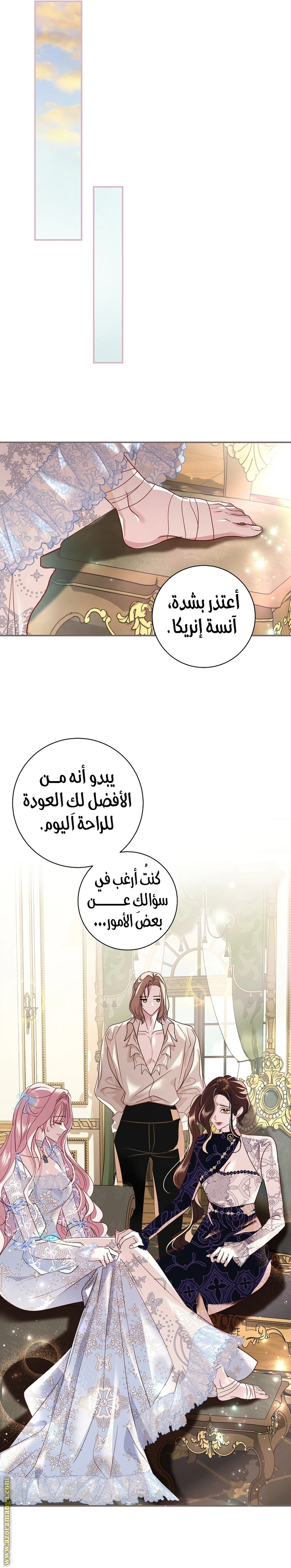 الصفحة 17