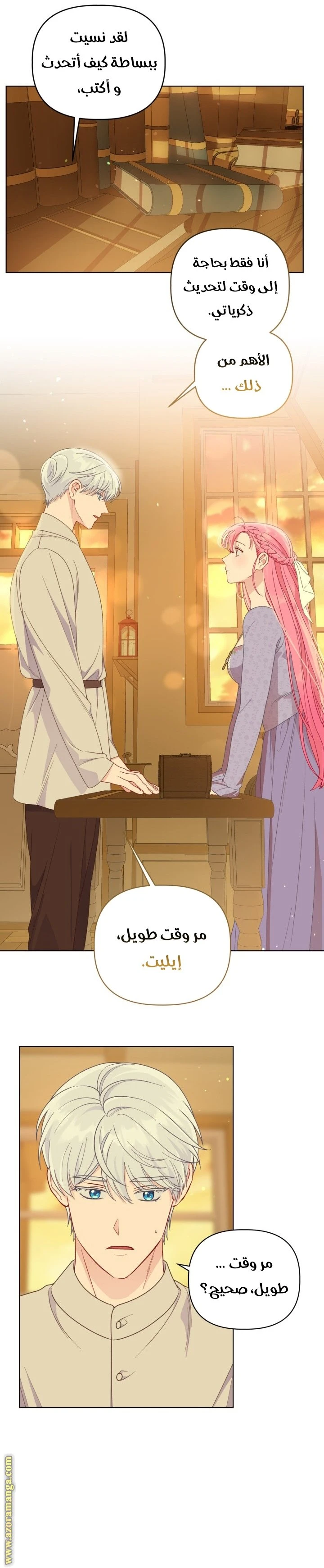 الصفحة 11