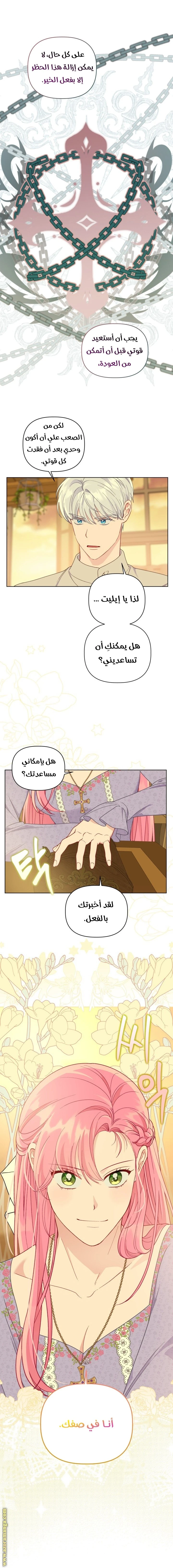 الصفحة 17