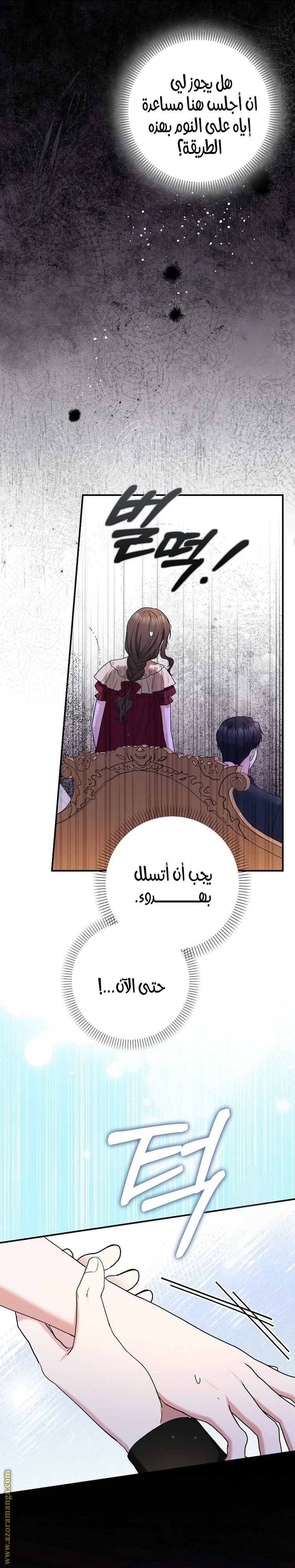 الصفحة 17