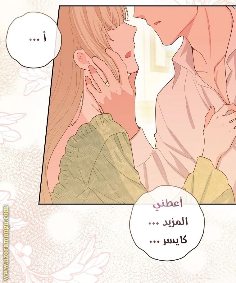 الصفحة 17