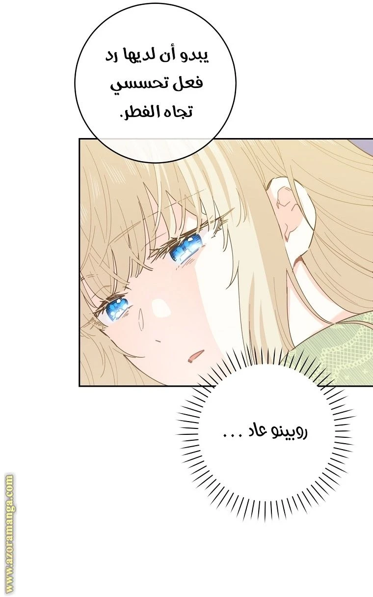 الصفحة 20
