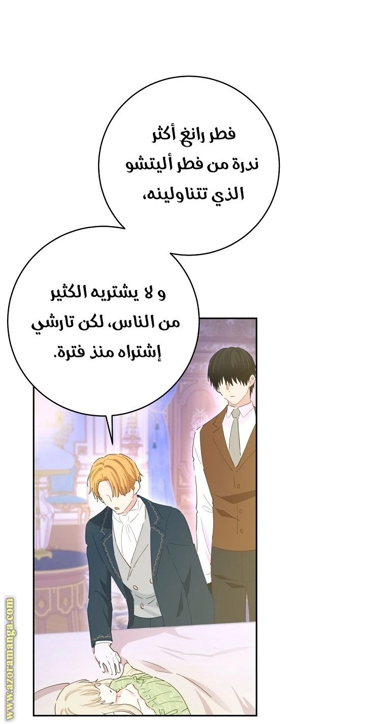 الصفحة 26