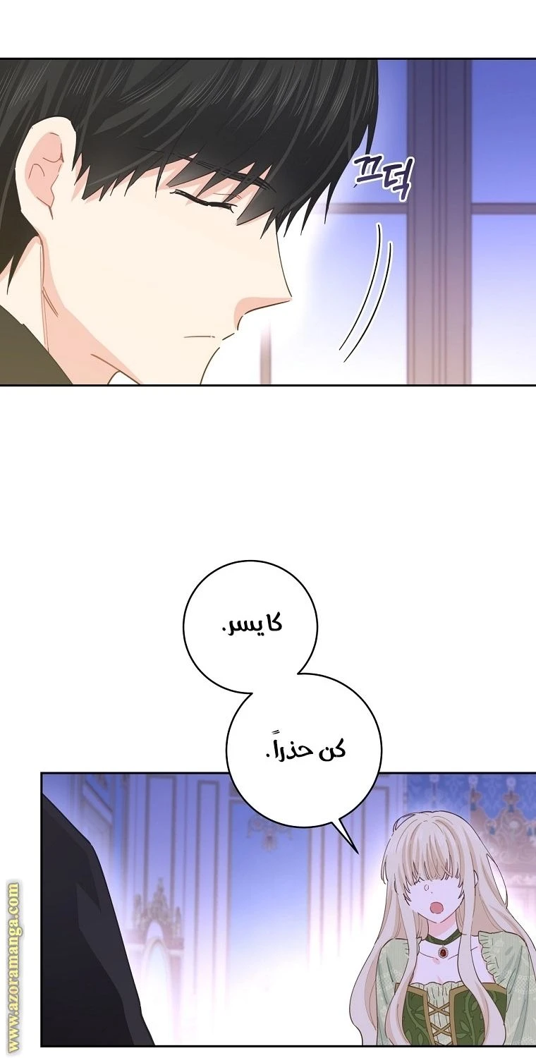الصفحة 41