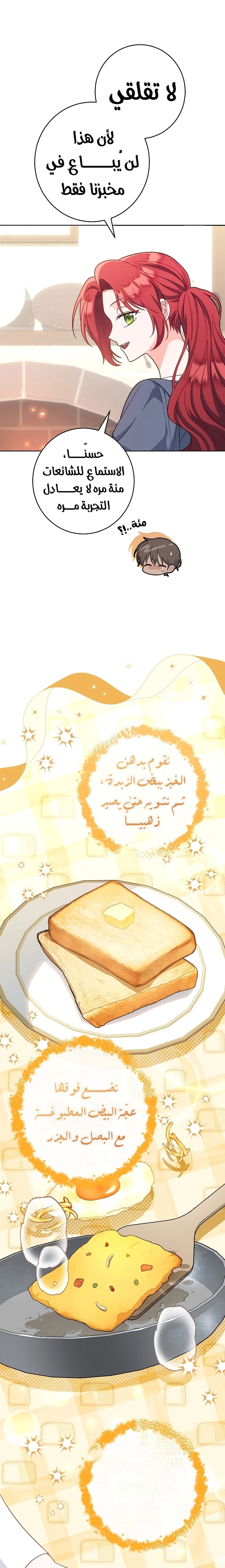 الصفحة 17
