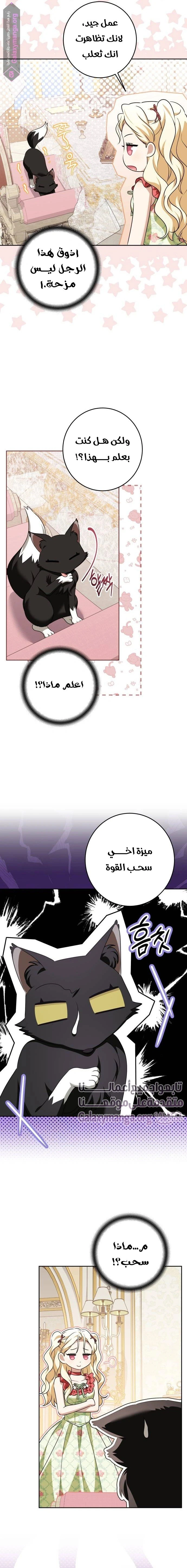 الصفحة 14