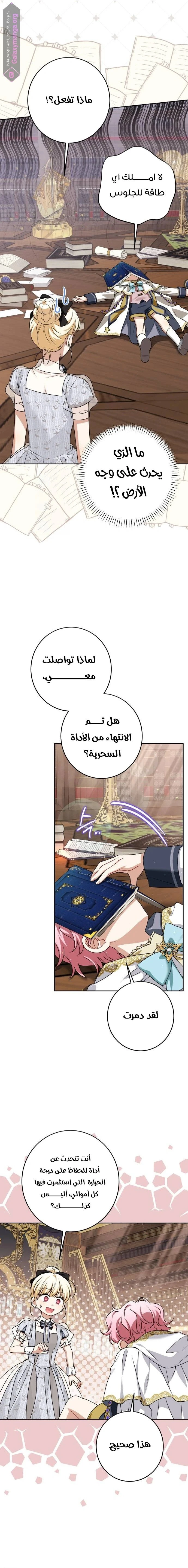 الصفحة 16