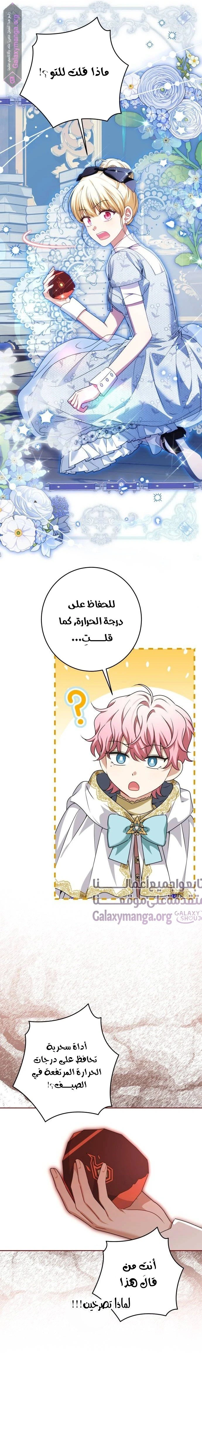 الصفحة 19