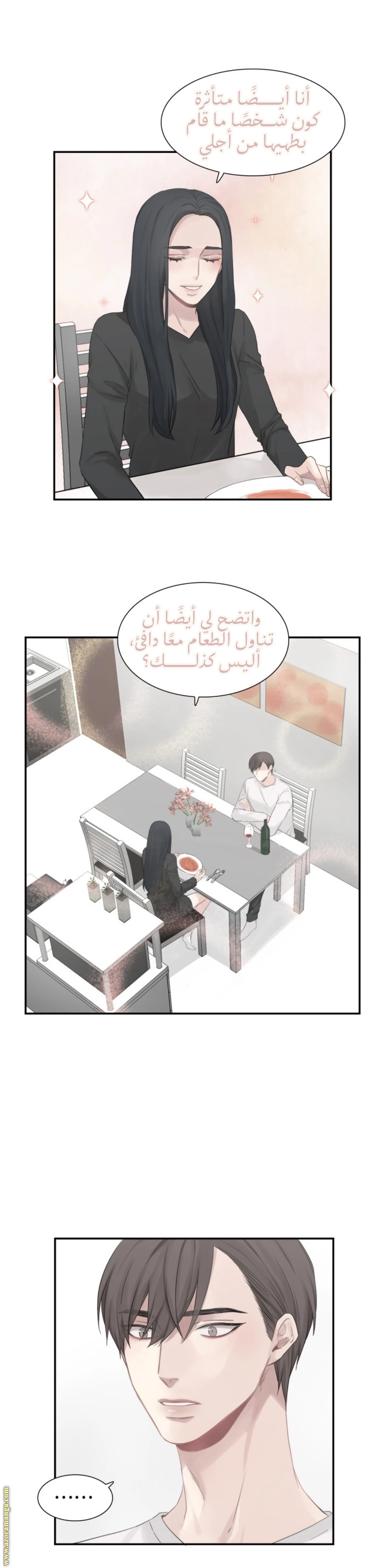 الصفحة 17