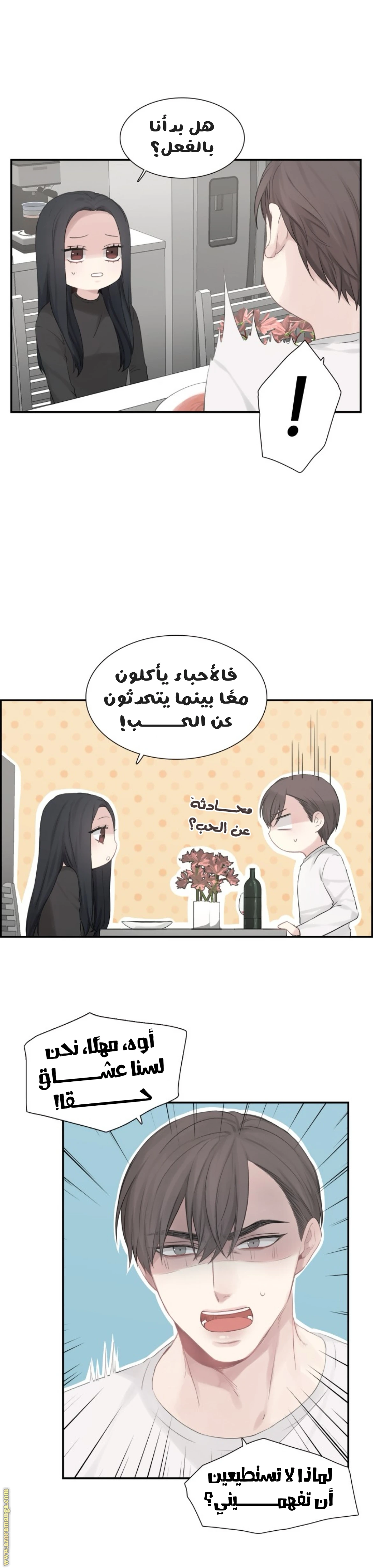 الصفحة 20
