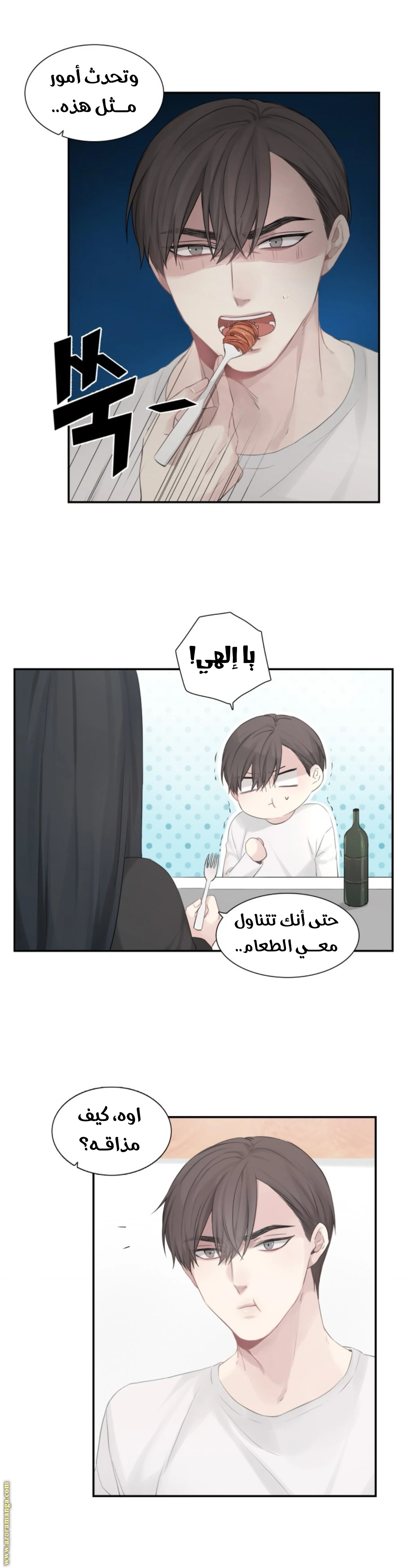 الصفحة 21