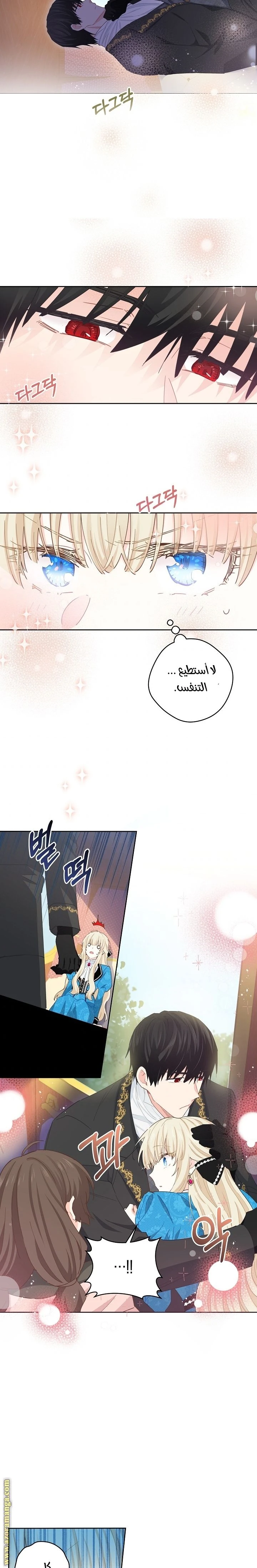 الصفحة 12
