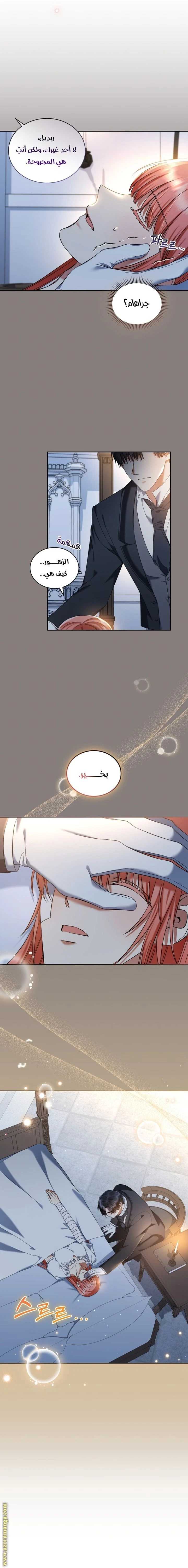 الصفحة 5