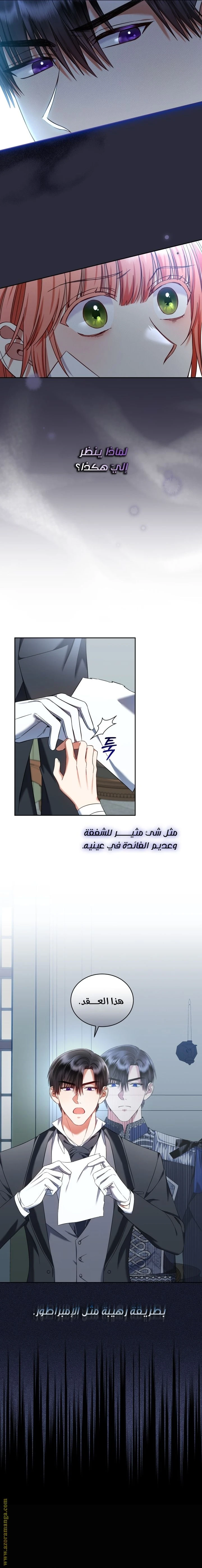 الصفحة 13