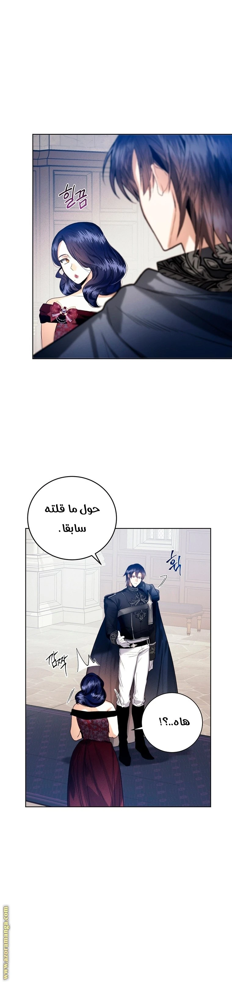 الصفحة 19