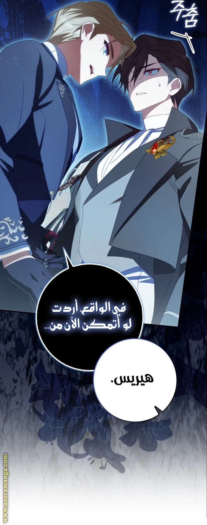الصفحة 46