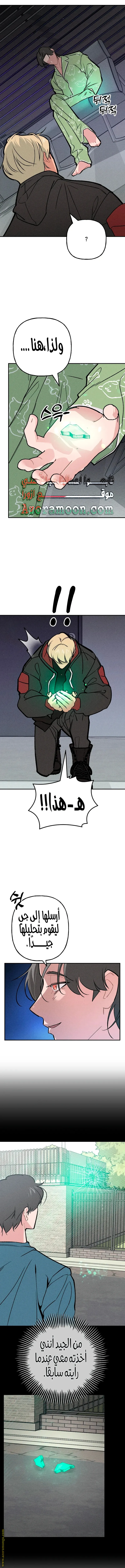 الصفحة 13