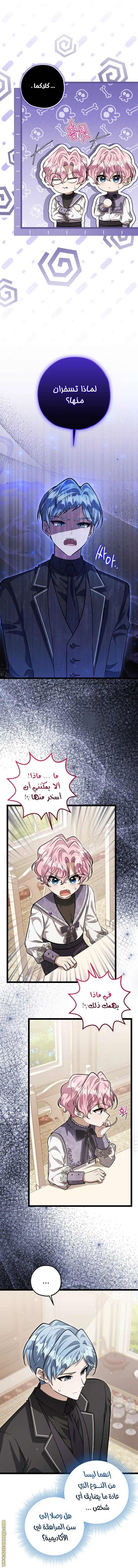 الصفحة 12