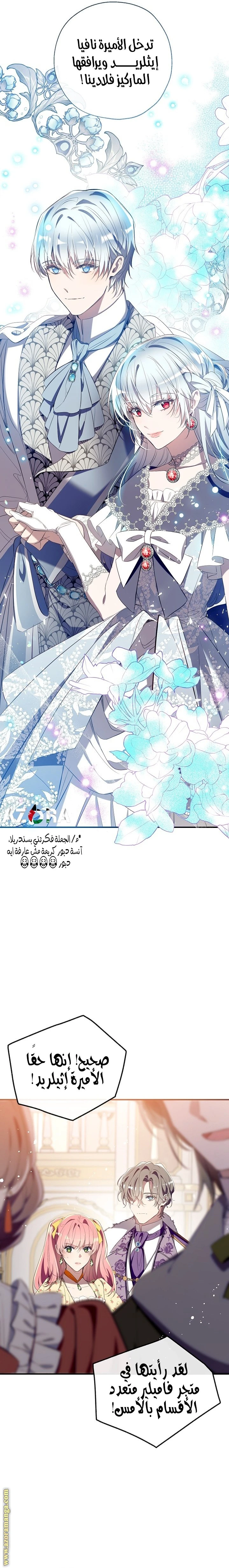 الصفحة 13