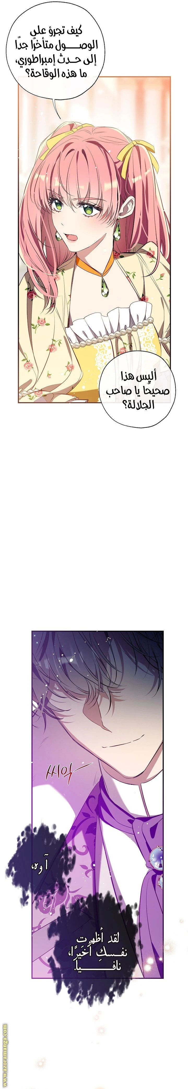 الصفحة 14