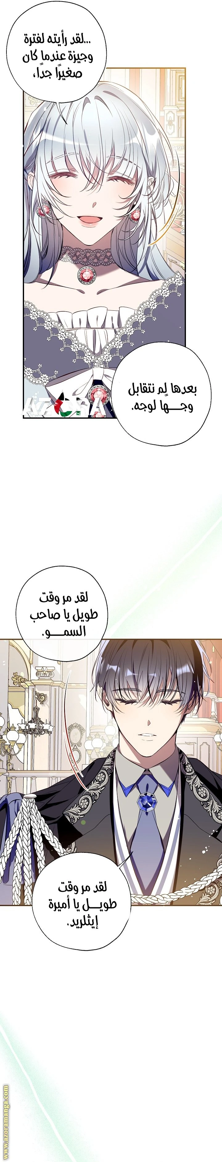 الصفحة 25