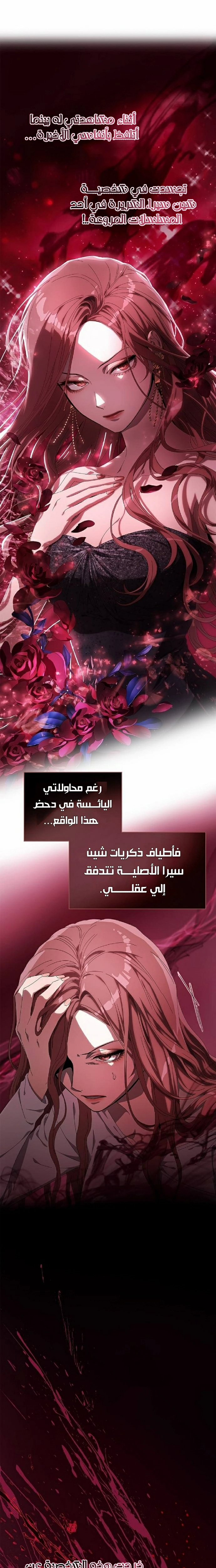 الصفحة 38