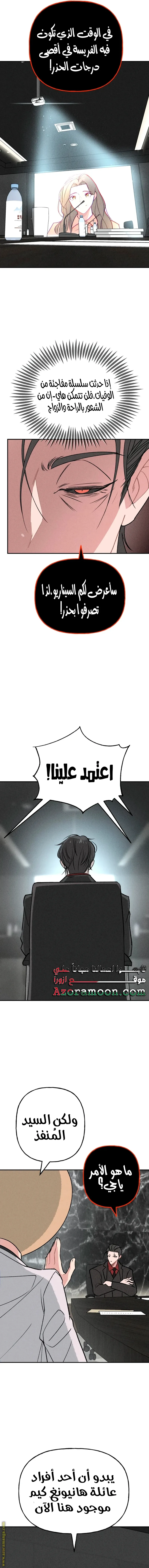 الصفحة 13