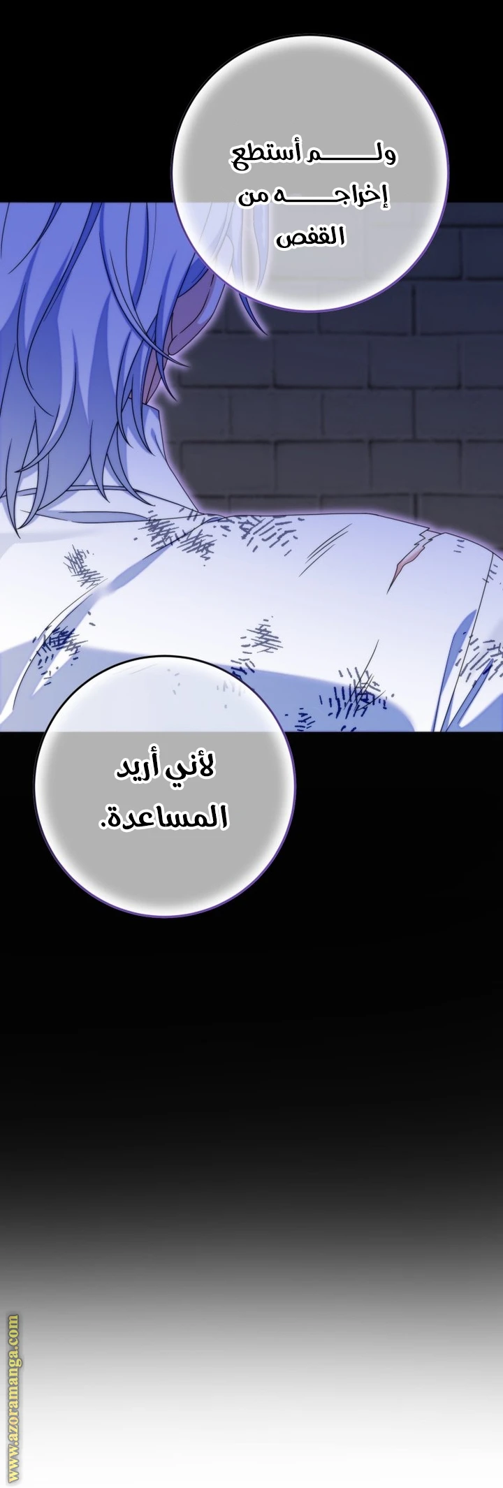 الصفحة 12