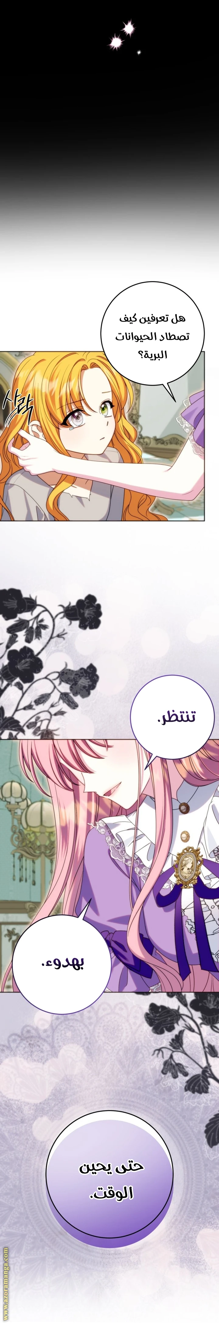 الصفحة 16