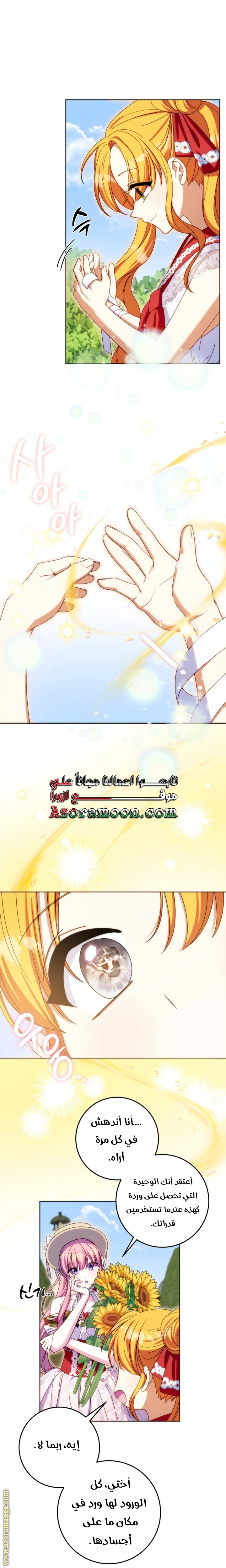 الصفحة 26