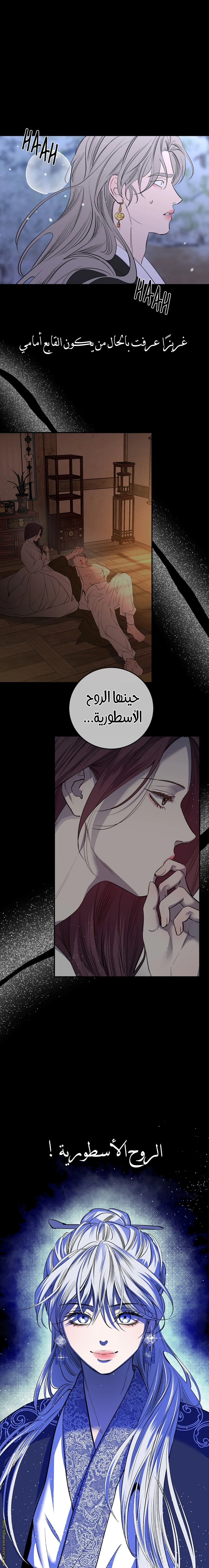 الصفحة 17
