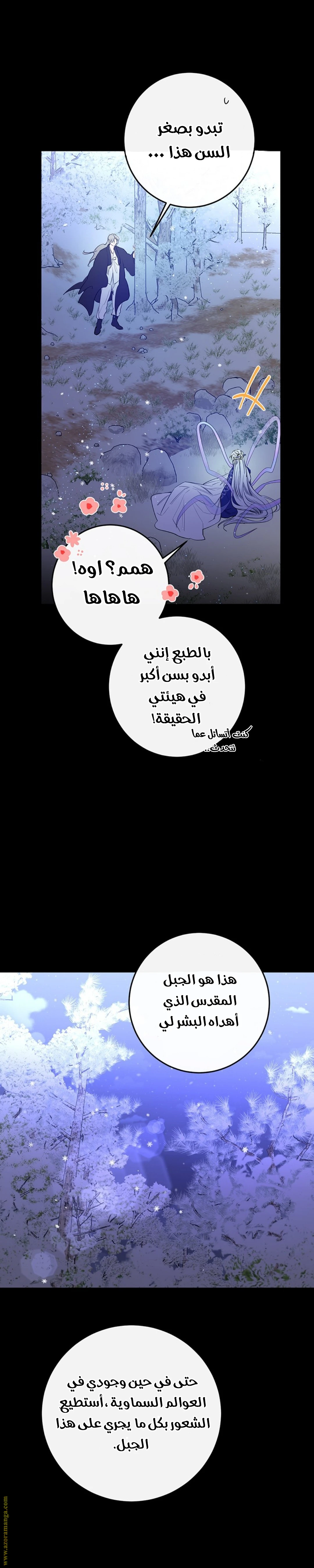 الصفحة 19